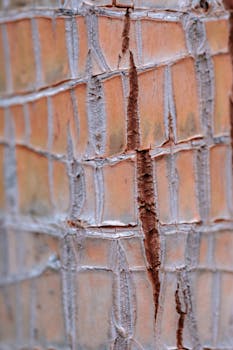 security system center