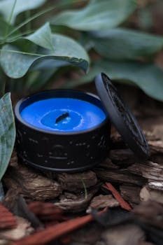 Online gambling interface