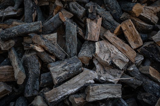 Forum_Interaction_Collaboration