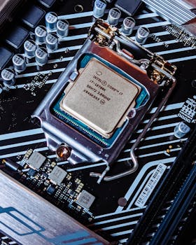 live dealer roulette