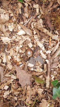 bright casino interior