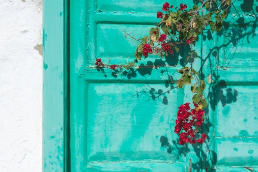 Forum_Education_Community