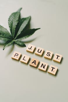 casino security cameras