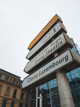 interactive gameplay