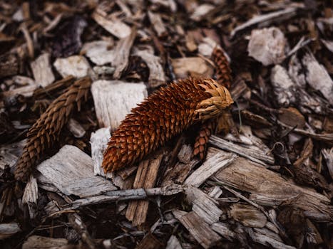 Secure Payment Portal