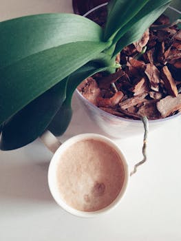 motherboard closeup shot