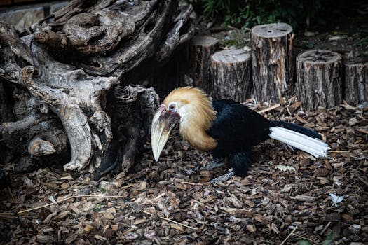 Digital payment security