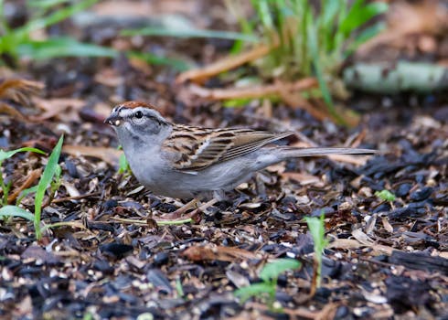 Role Playing Game storytelling