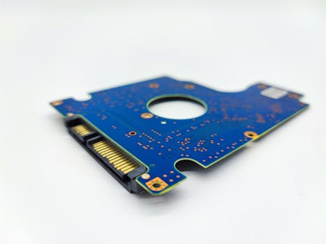 customer support team