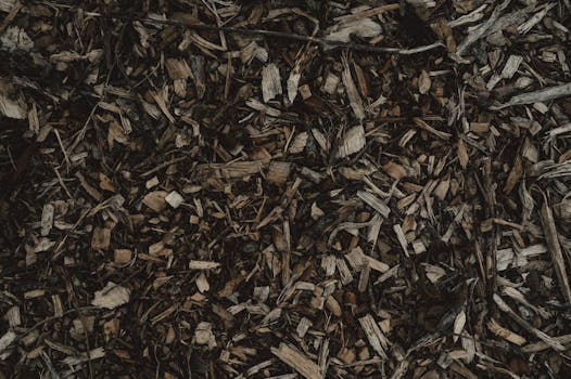 Casino interior night2