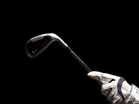 Online Gambling Interface