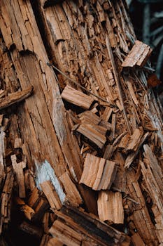 web gambling interface