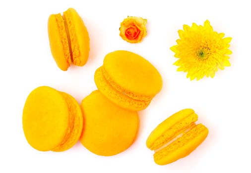 customer support team