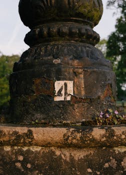 slot machines casino