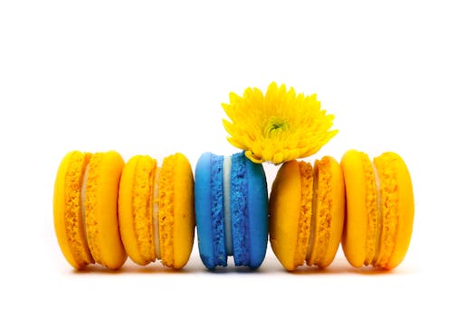 browser casino layout