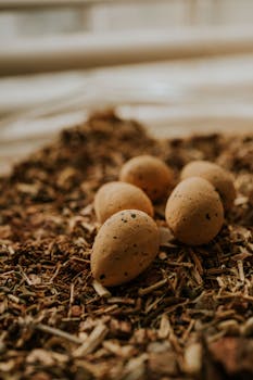 online gambling scene