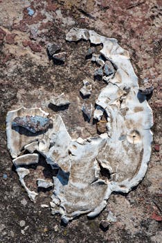 bright slot machines