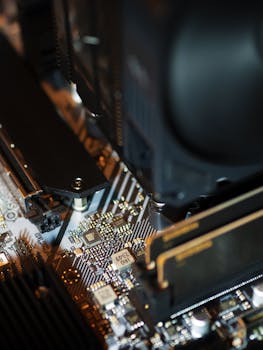 customer support team