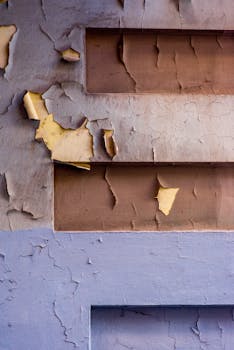 casual players gaming