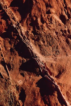 bright casino lights