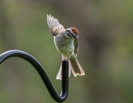 luxury casino interior