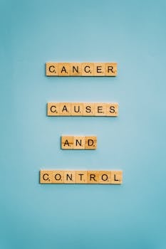 medieval fantasy world