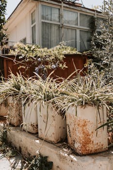 online casino interface