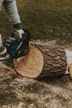 Referral program benefits