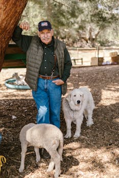 slot machines casino