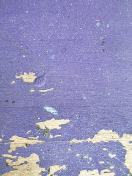 online roleplaying game