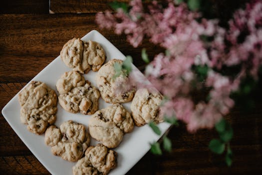 colorful slot machines 2
