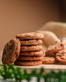 Casino win celebrate