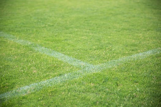 Luxurious casino lounge