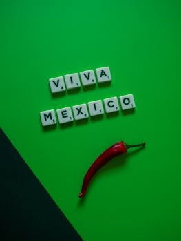 identity verification check