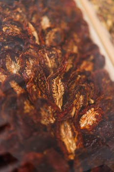 digital casino displays