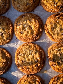 Slot machines interior