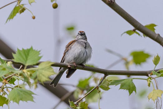 Roulette wheel table
