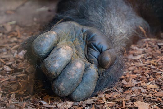 Epic quest landscape center