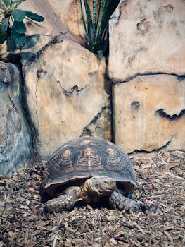 slot machine interior