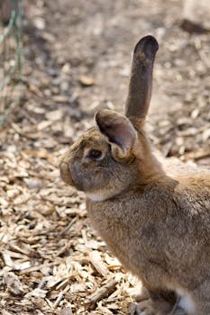 security camera casino