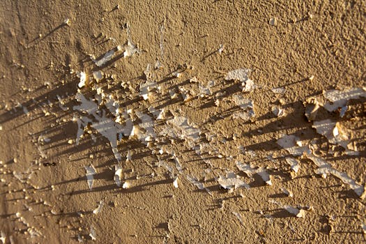 Forum_Education_Visuals