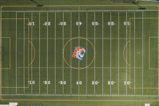 live dealer baccarat